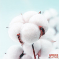 efaa4cad9c839827-w_200