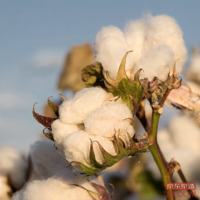 50fb0b4d43b9fe43-w_200