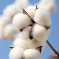 0fe627f82057c117-w_200