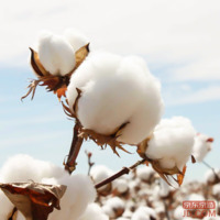 b092c6424e41f13c-w_200