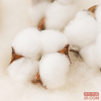 168074de7824e14c-w_200