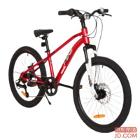JD 22-inch kids mountain bike, ages 7-15, 7-speed Shimano, front suspension